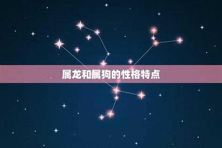 属龙与属狗相配吗