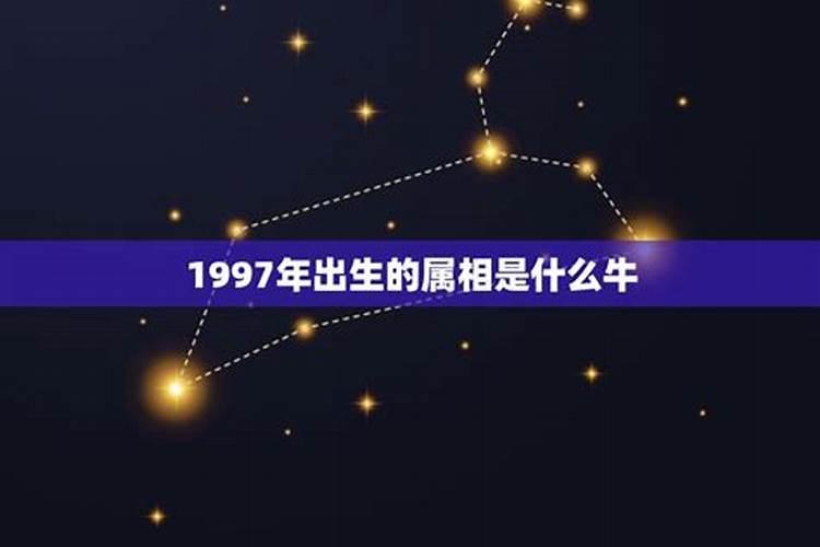 97年是什么星座星座