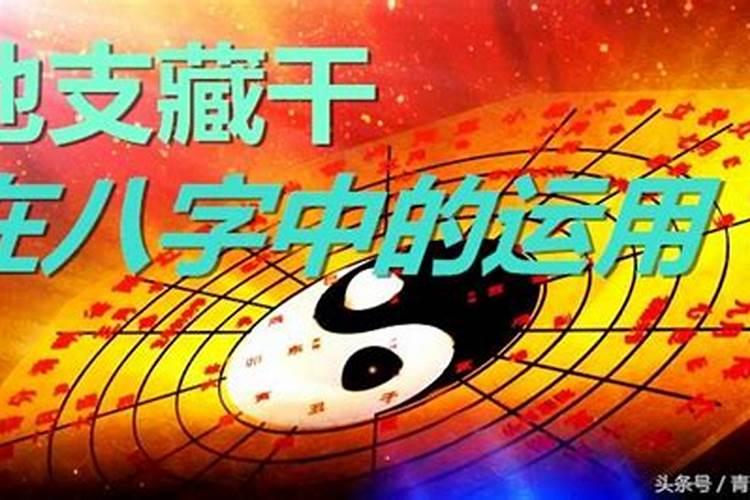 八字里面的日支是什么意思