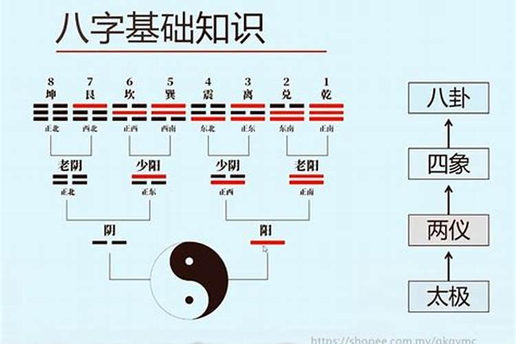 八字自学心得体会