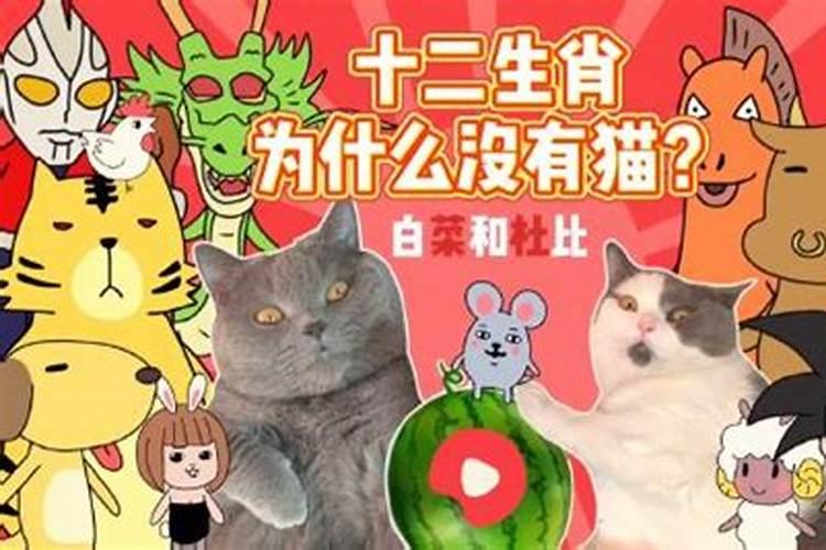 十二生肖为啥没有猫