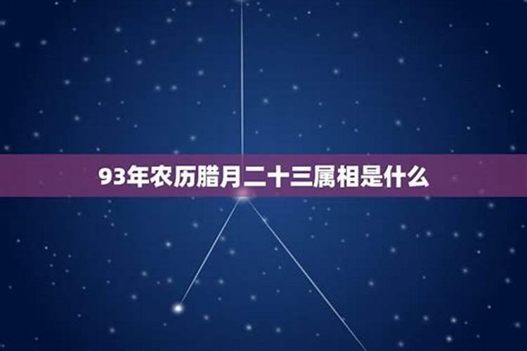 1993年农历三月二十三是什么星座的