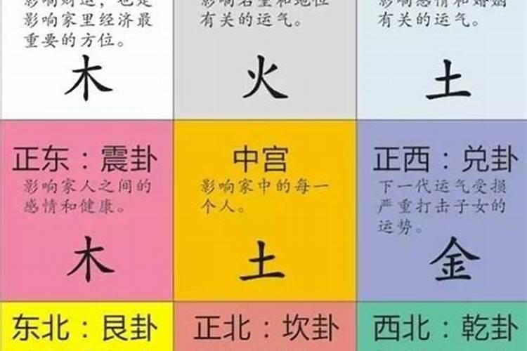 宗五行属性是什么意思