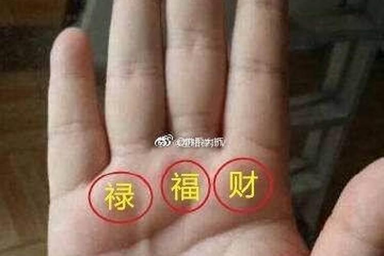 婚姻必定美满的手相女