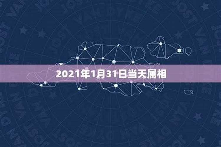 今天属相是什么2021年1月23日