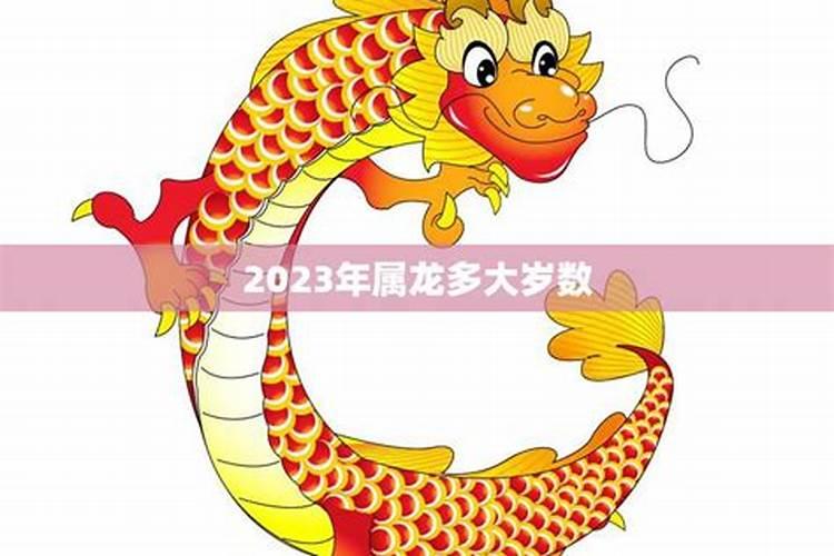 属龙的多大年纪了2023