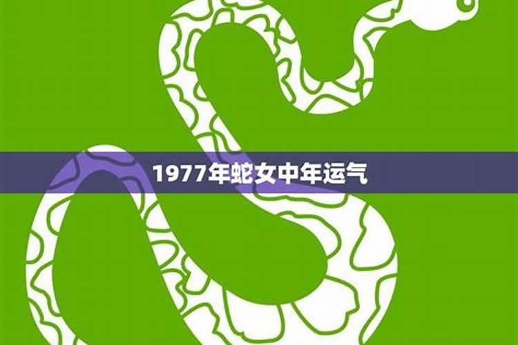 1977年蛇女哪年运势好