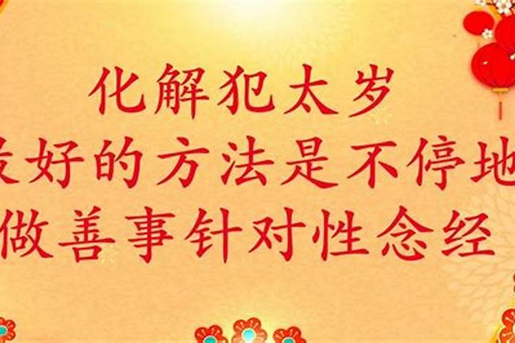 属龙今年属什么