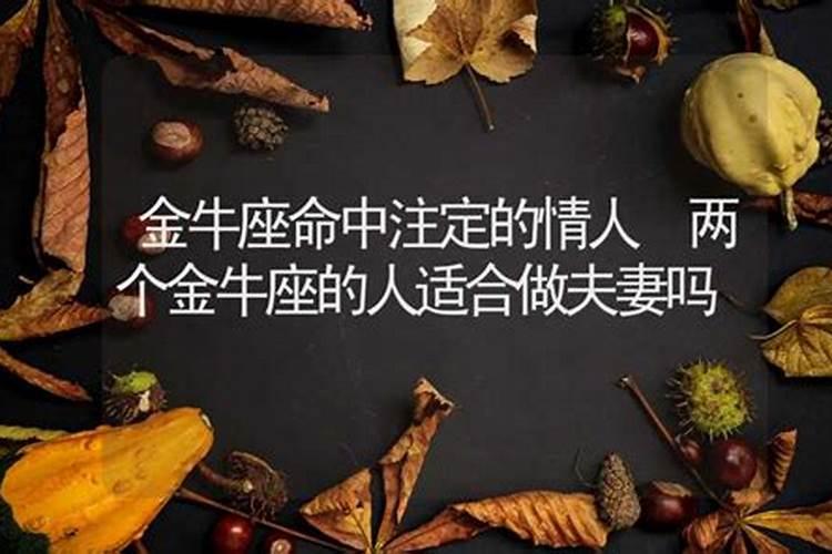 金牛座和金牛座在一起会幸福吗