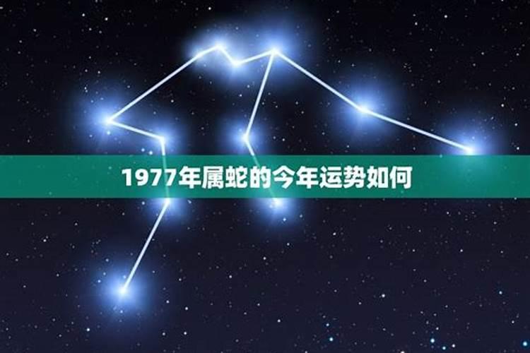 1980年生2023运势如何