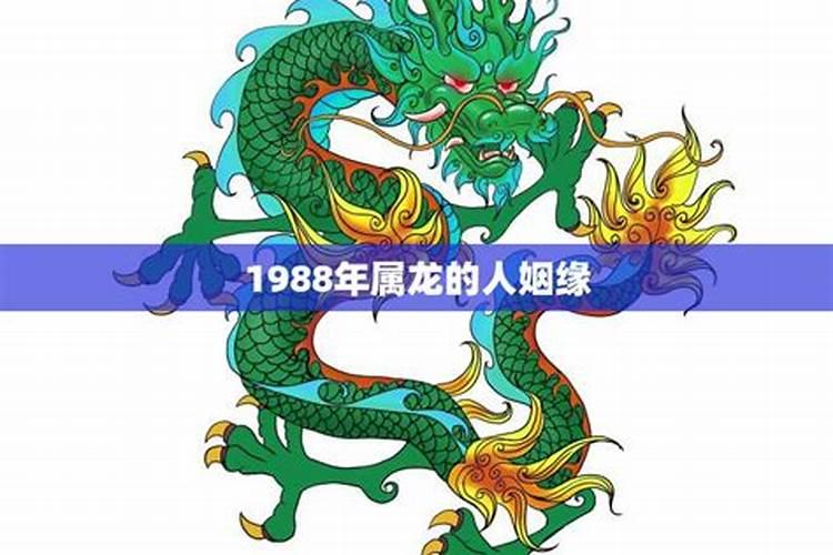 属龙的,1988年出生的是什么座的