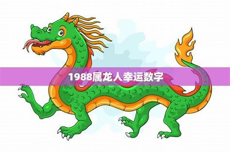 1988属龙的幸运数字是几