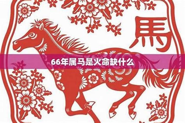 66年属马五行属什么