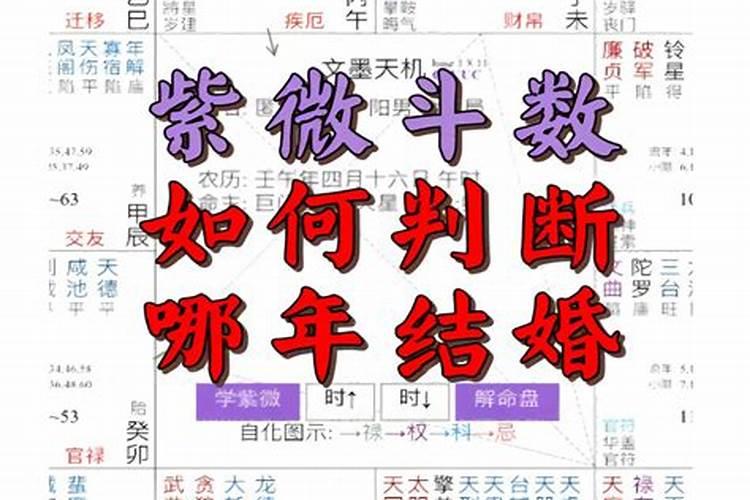 紫微斗数看姻缘出现