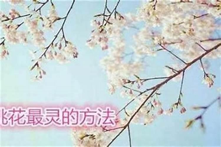 怎么样才能斩桃花劫