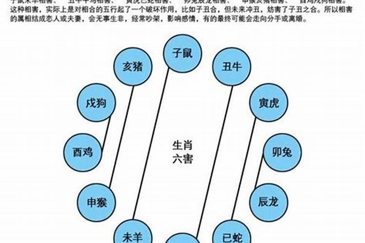 生肖相生相克表可信度高吗