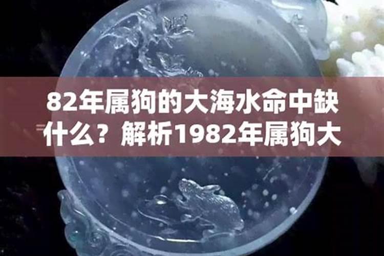 属狗1982年是什么命命里缺什么