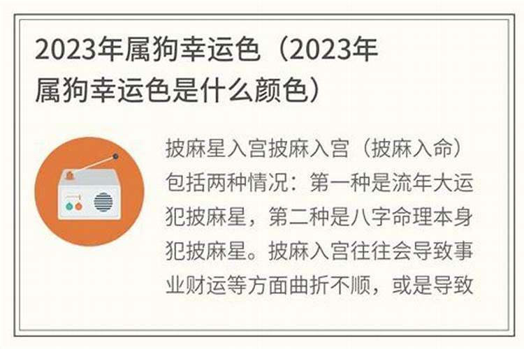 2023年属狗的幸运颜色是什么