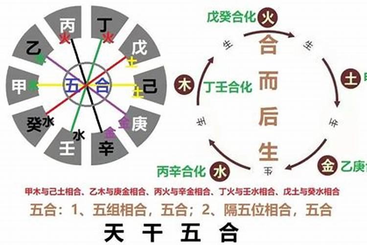 八字合婚天干五合，八字中的天干五合是什么意思