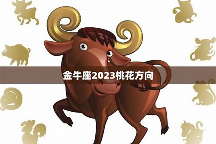 2023年金牛座爱情运势如何