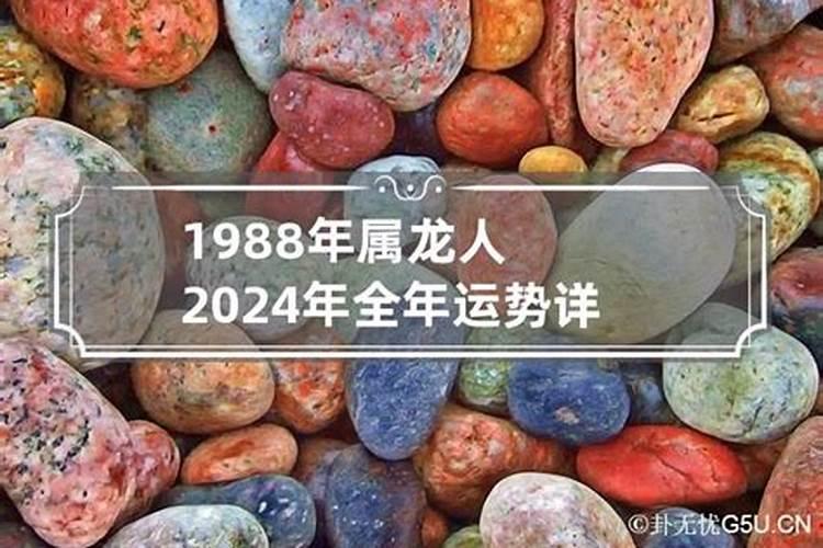 1988年生肖龙在2020年运势如何