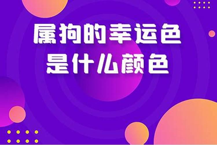 2021年属狗的幸运色是什么