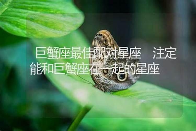 注定不能在一起的星座组合是什么