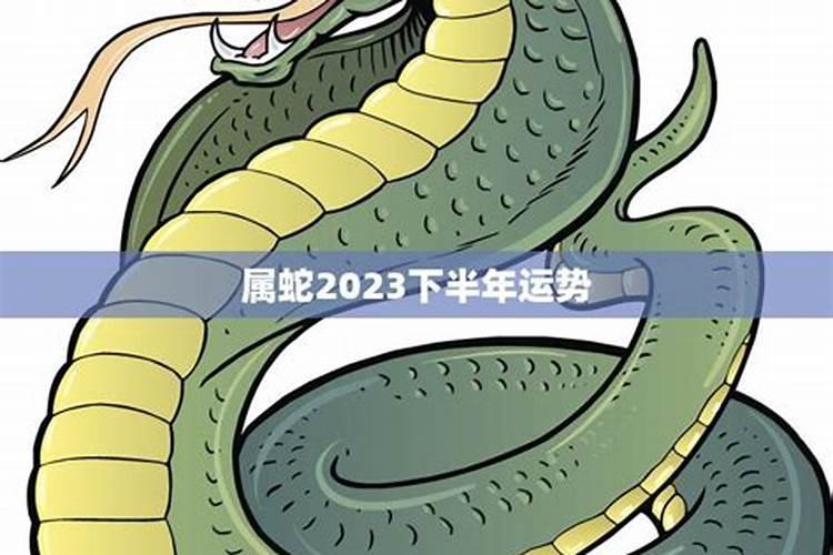 属蛇2023年下半年财运