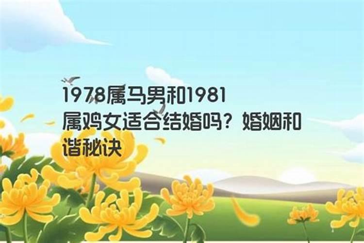 1969年属鸡男和1978年属马女婚姻相配吗？