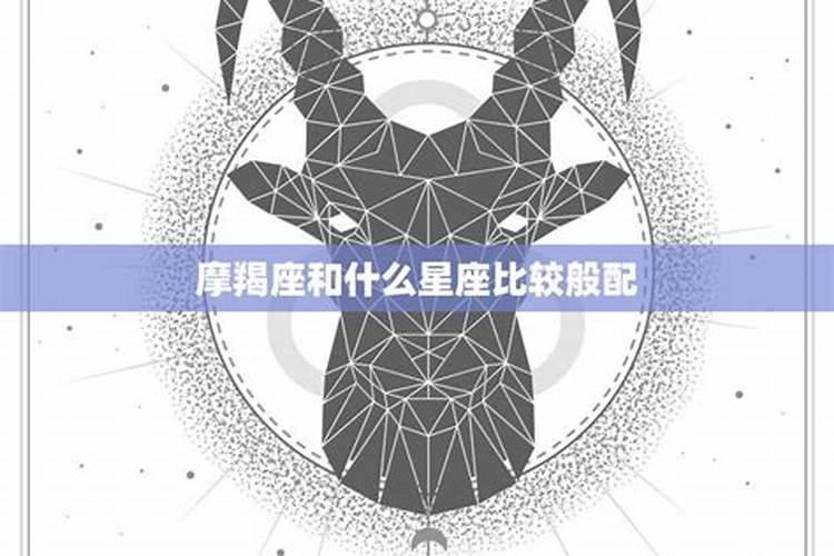 摩羯座与什么星座合作比较好