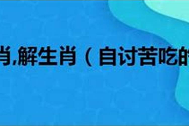 自讨苦吃是什么生肖动物什么数了