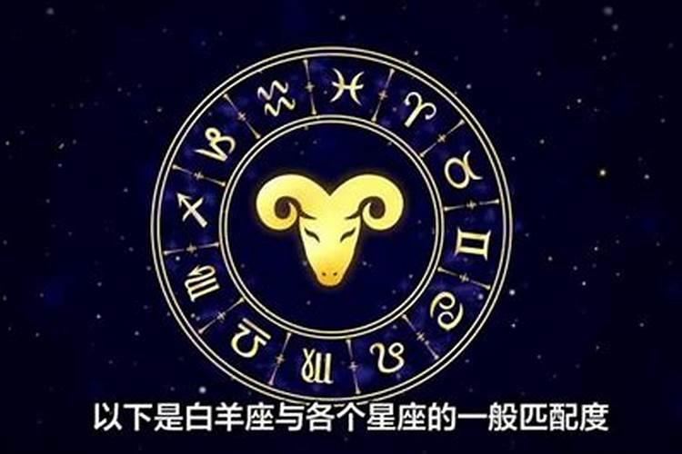 白羊和各个星座的关系