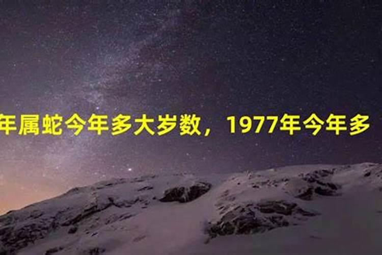 1977属蛇的今年多大