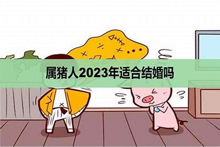 属猪人在2023年结婚合适吗？