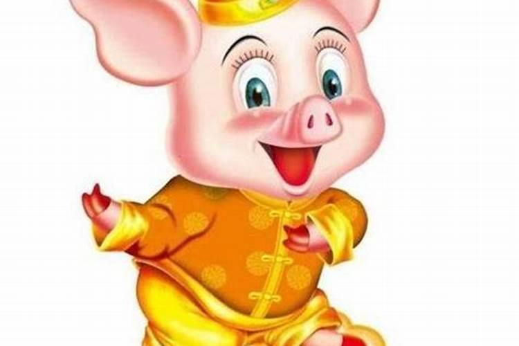 属猪的旺运吉祥物是什么？