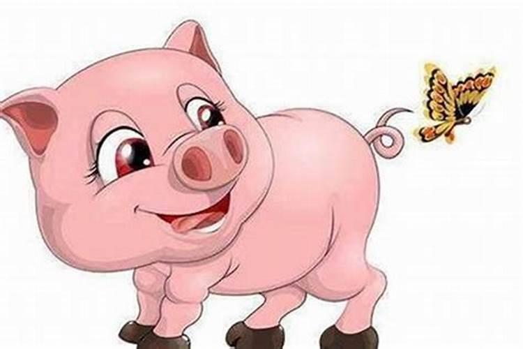 属猪的开运招财吉祥物2021