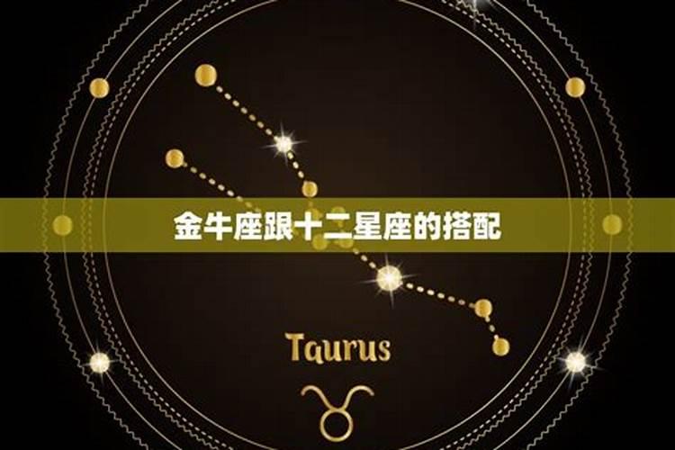 金牛座和双鱼星座相配指数