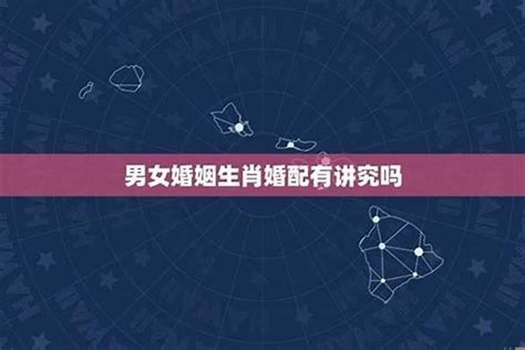 谈对象必须要属相合适吗