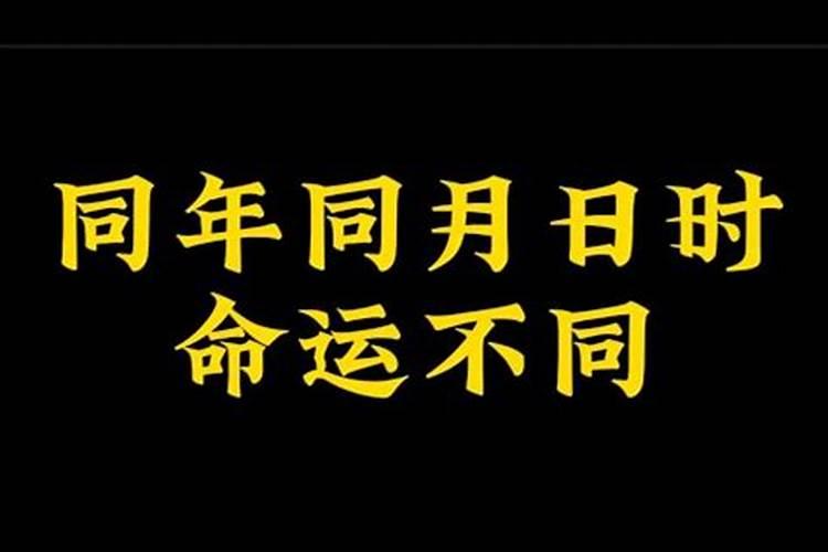 同年同月同日生的八字合吗