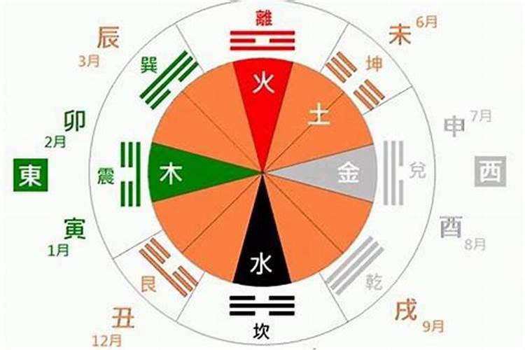 半夜指的是什么生肖