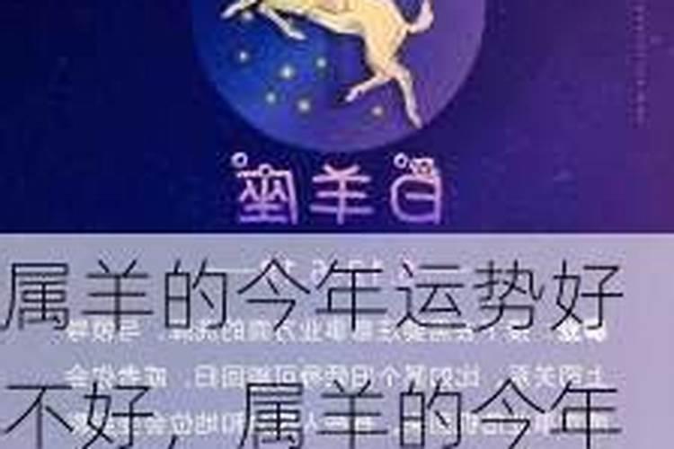 属羊的31年今年好不好呢