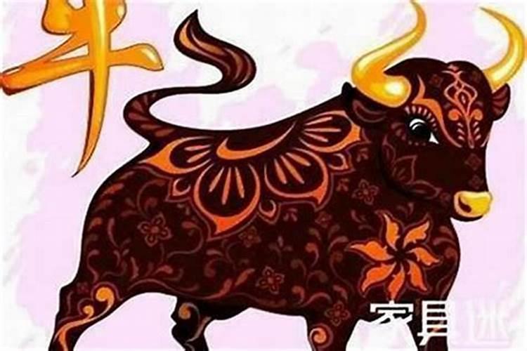 属牛女今年运势2022年