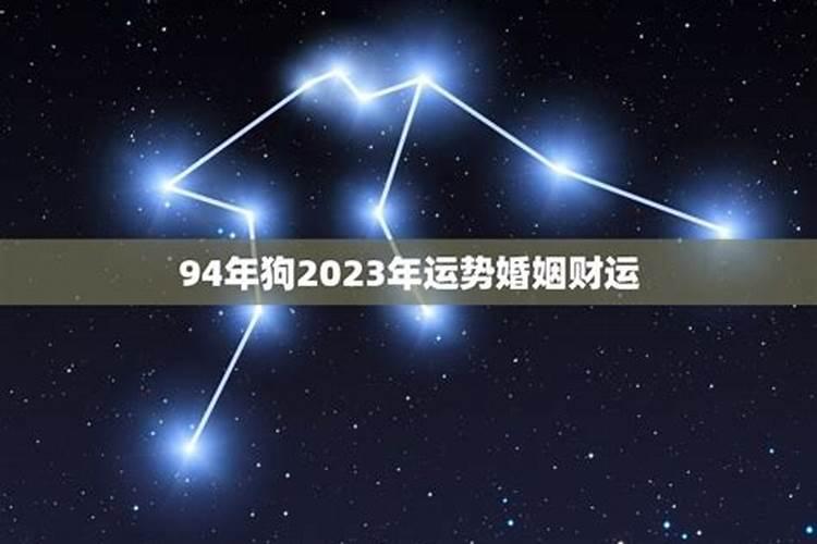 94狗2023年运势