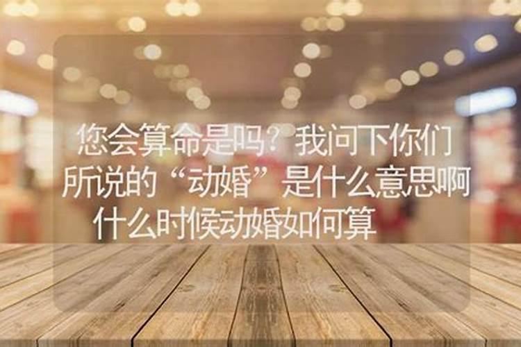 算命说无婚姻什么意思啊