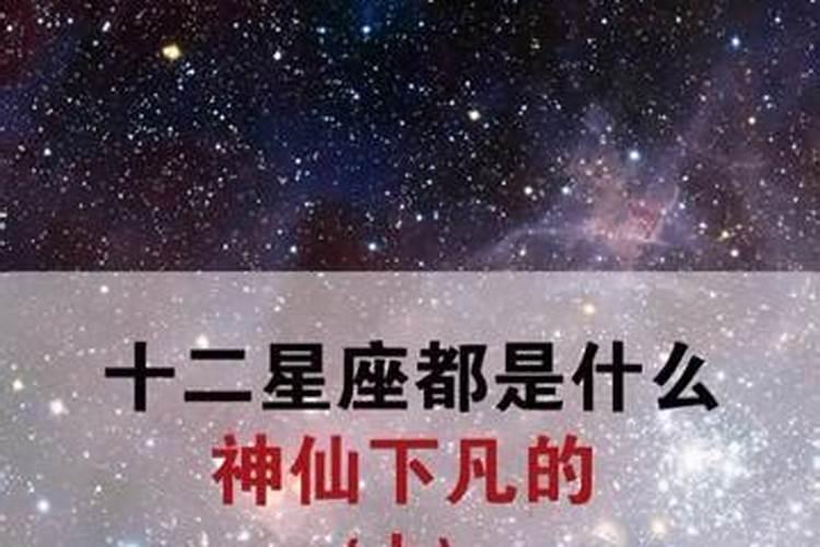 12星座分别是什么神仙