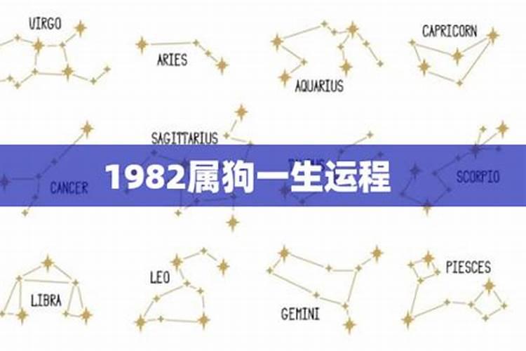 1982年属狗星座运势男