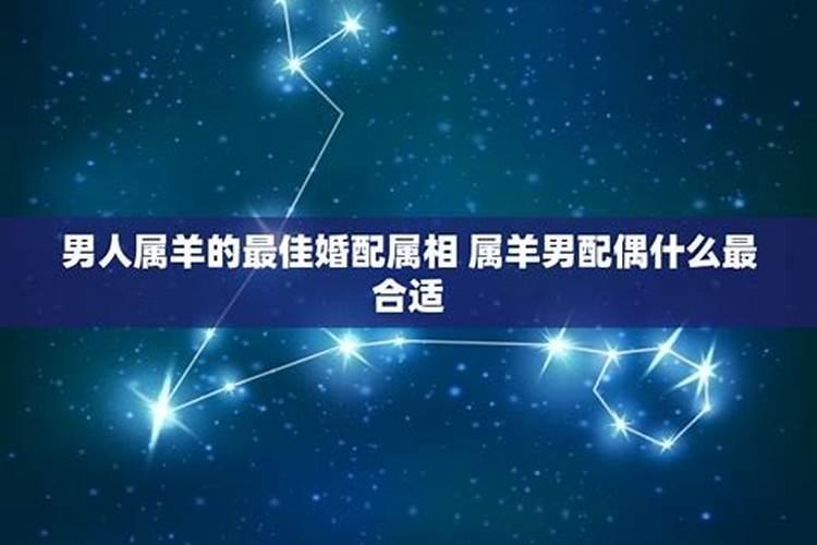 1991年属羊男生最佳配偶