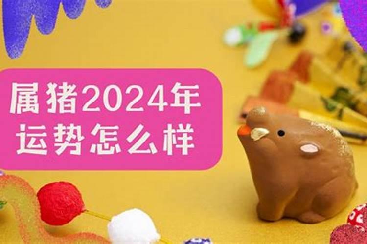 鼠年属猪的运势怎么样2023年运程