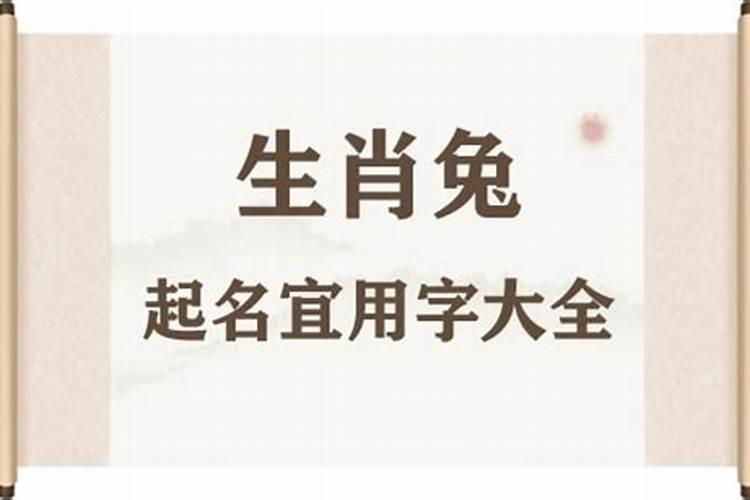 属兔取名用什么偏旁字