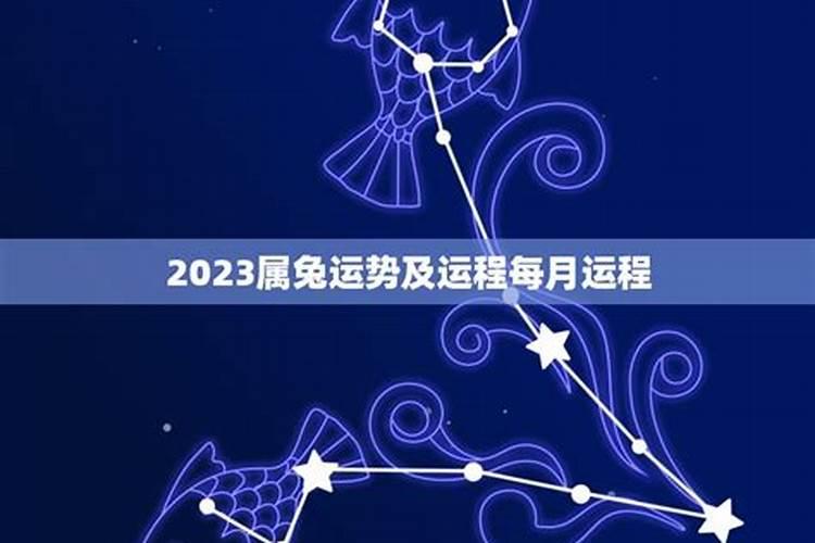 属兔8月运势2021年